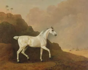 A Grey Arab Stallion in a Desert Landscape (oil on canvas) A Grey Arab Stallion in a Desert Landscape (oil on canvas)