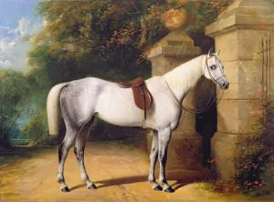 A Grey Horse by Park Gates, 1851 (oil on canvas) A Grey Horse by Park Gates, 1851 (oil on canvas)