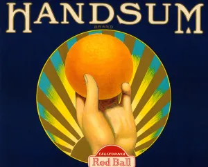 Handsum Oranges Fruit Crate Label, 1930s (colour litho) Handsum Oranges Fruit Crate Label, 1930s (colour litho)