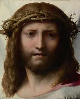 Suffering Collection: Head of Christ, c. 1530 (oil on panel)