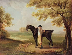 Related Images Collection: Horse, rider and whippet