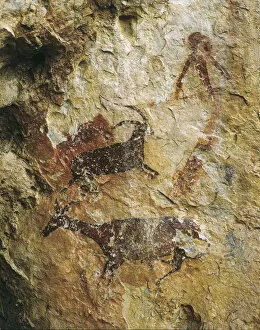 Cave Painting Collection: Hunting scene with a deer and an ibex (25000-15000 BC. ). Upper Paleolithic
