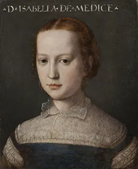 Isabelle Romola de Medicis - Portrait of Isabella de Medici (1542-1576), by Bronzino Isabelle Romola de Medicis - Portrait of Isabella de Medici (1542-1576), by Bronzino