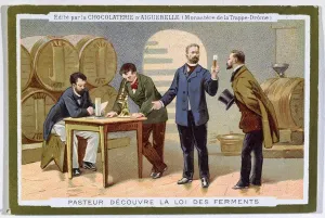 Fine Art Print of Pasteur Discovering Fermentation
