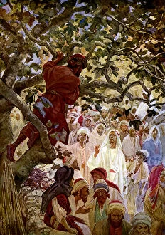 Still life paintings Collection: Jesus and Zacchaeus. - Bible
