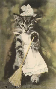 Kitten dressed as a maid with a broom (colour photo) Kitten dressed as a maid with a broom (colour photo)
