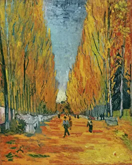 Autumn Collection: L Allee des Alyscamps, Arles, 1888 (oil on canvas)