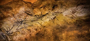 Palaeolithic Collection: Lascaux cave painting, Bordeaux, France (photo)