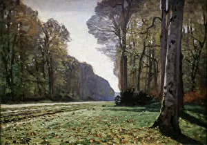Landscape paintings Collection: Le pave de Chailly 1865 (Oil on Canvas)