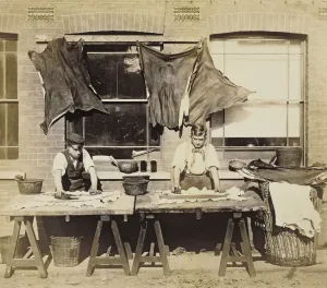 Leather Dyeing for Making Gloves, Bevington and Sons, 1861-62 (sepia photo Leather Dyeing for Making Gloves, Bevington and Sons, 1861-62 (sepia photo