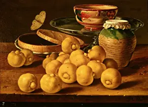 Still life with quinces, a silver fruit dish, bowls. a box for sweets and a butterfly Still life with quinces, a silver fruit dish, bowls. a box for sweets and a butterfly