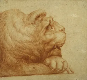 A lion's head in profile (red chalk on white paper) A lion's head in profile (red chalk on white paper)