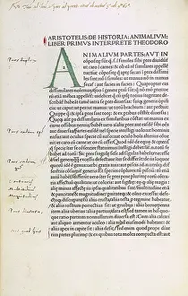 Italian Renaissance Artifacts Prints: Manuscript by Aristotle