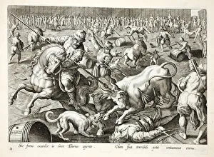 A mass bullfight in an enclosure, illustration from Venationes, Ferarum, Avium, Piscium (Of Hunting: Wild Beasts, Birds) A mass bullfight in an enclosure, illustration from Venationes, Ferarum, Avium, Piscium (Of Hunting: Wild Beasts, Birds)