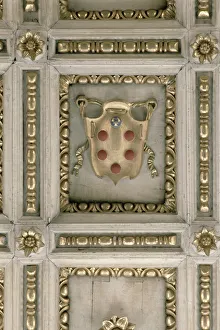Medici coat of arms, from the soffit of the church (stucco) Medici coat of arms, from the soffit of the church (stucco)