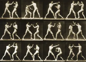 Two men boxing, from the Animal Locomotion; series, c.1881 (b/w photo) Two men boxing, from the Animal Locomotion; series, c.1881 (b/w photo)