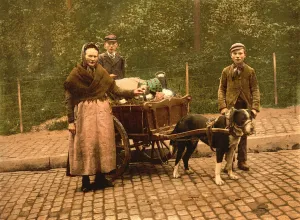 Milk Sellers, Brussels, Belgium, c.1900 (photochrom) Milk Sellers, Brussels, Belgium, c.1900 (photochrom)
