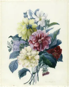 Mixed Dahlias, 1840 (w/c & bodycolour on vellum) Mixed Dahlias, 1840 (w/c & bodycolour on vellum)