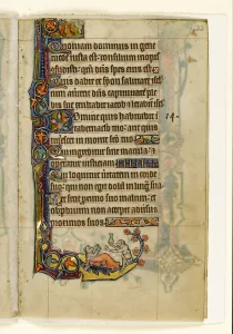 MS 1-2005, fol. 22r: The Ape-doctor and his bear-patient MS 1-2005, fol. 22r: The Ape-doctor and his bear-patient