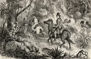 Mungo Park encountering a Lion whilst on his way to the Village of Modiboo, 1825 Mungo Park encountering a Lion whilst on his way to the Village of Modiboo, 1825