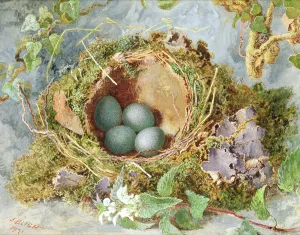 A Nest of Eggs, 1871 (w/c on paper) (see 215284 for pair) A Nest of Eggs, 1871 (w/c on paper) (see 215284 for pair)