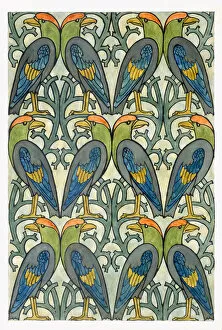 Textile Designs, Wallpaper, Endpapers & Marbled Paper Collection: Parrot design (w / c and pencil on paper)