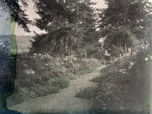 Path in Monet's Garden at Giverny, early 1920s (photo) Path in Monet's Garden at Giverny, early 1920s (photo)