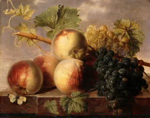 Peaches and Grapes with a Cabbage White on a Marble Ledge, (oil on marble) Peaches and Grapes with a Cabbage White on a Marble Ledge, (oil on marble)