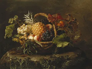 A Pineapple, Grapes, Peaches and Apricots in a Basket, (oil on canvas) A Pineapple, Grapes, Peaches and Apricots in a Basket, (oil on canvas)
