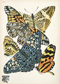 Émile-Allain Séguy Collection: Plate 3, from Papillons, pub. 1925 (pochoir print)