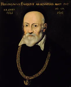 Portrait of Hieronymus Fabricius (oil on canvas) Portrait of Hieronymus Fabricius (oil on canvas)