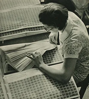 The Post Office: Checking pages of stamps (b/w photo) The Post Office: Checking pages of stamps (b/w photo)
