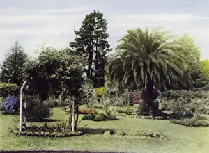 Queensland, Australia: Botanical Gardens, Toowoomba (photo) Queensland, Australia: Botanical Gardens, Toowoomba (photo)