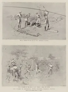 The Rising in Rhodesia, with Colonel Paget's Column (litho) The Rising in Rhodesia, with Colonel Paget's Column (litho)