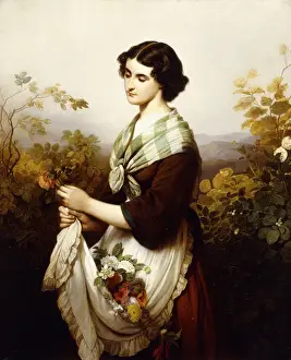 The Last Rose; La Derniere Rose, 1865 (oil on canvas) The Last Rose; La Derniere Rose, 1865 (oil on canvas)