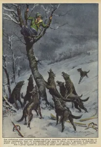 A Serbian student realised, during a trip to the mountains, of the proximity of a pack... (colour litho) A Serbian student realised, during a trip to the mountains, of the proximity of a pack... (colour litho)