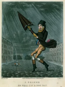 A soaker or real cat and dog day (coloured engraving) A soaker or real cat and dog day (coloured engraving)