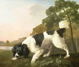 A Spaniel in a Landscape, 1771 (oil on canvas) A Spaniel in a Landscape, 1771 (oil on canvas)