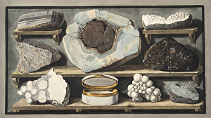 Specimens of curious stones found by the Author on Mount Vesuvius, Plate XXXXVIII Specimens of curious stones found by the Author on Mount Vesuvius, Plate XXXXVIII