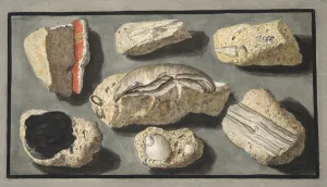 Specimens of Tufa found in and around Herculaneum, Plate XXXXV Specimens of Tufa found in and around Herculaneum, Plate XXXXV