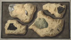 Specimens of Tufas from the quarrys near the Grotta of Pausilipo, Plate XXXXII Specimens of Tufas from the quarrys near the Grotta of Pausilipo, Plate XXXXII