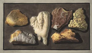 Specimens of volcanic matter taken from the inside of the crater of Vesuvius Specimens of volcanic matter taken from the inside of the crater of Vesuvius