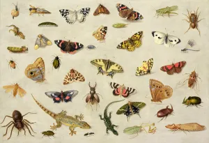 A Study of insects (oil on copper) A Study of insects (oil on copper)