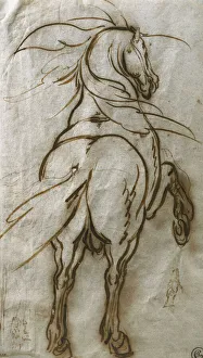 Study of a Rearing Horse, with a Subsidiary Study of the Same and a View of a Town Study of a Rearing Horse, with a Subsidiary Study of the Same and a View of a Town