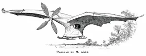 French Aviation Pioneer Prints: Clement Ader's flying bird Eole (Aole)
