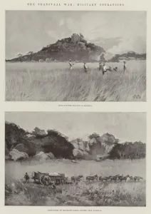 The Transvaal War, Military Operations (litho) The Transvaal War, Military Operations (litho)