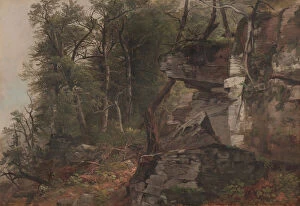 Images Dated 13th November 2012: Trees on a Rocky Hillside, c. 1849 (oil on canvas)