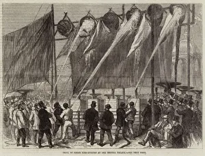 Trial of Steam Fire-Engines at the Crystal Palace (engraving) Trial of Steam Fire-Engines at the Crystal Palace (engraving)