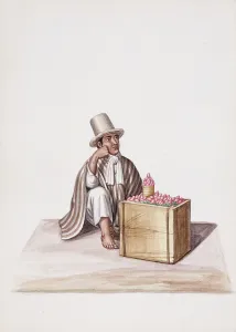 Types and Costumes of New Granada (Colombia): A Strawberry Man, c.1845 (lithograph) Types and Costumes of New Granada (Colombia): A Strawberry Man, c.1845 (lithograph)