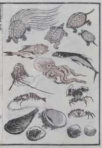 Undersea creatures, from a Manga (colour woodblock print) Undersea creatures, from a Manga (colour woodblock print)